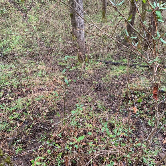 Meet your Posher, David - Picture 1 of 1